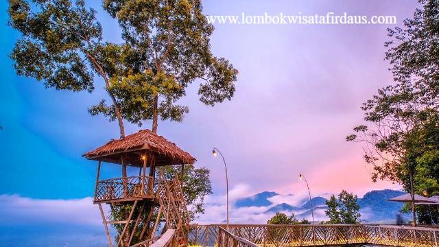 Tempat Wisata Terbaik di Langkat yang Wajib Anda Kunjungi